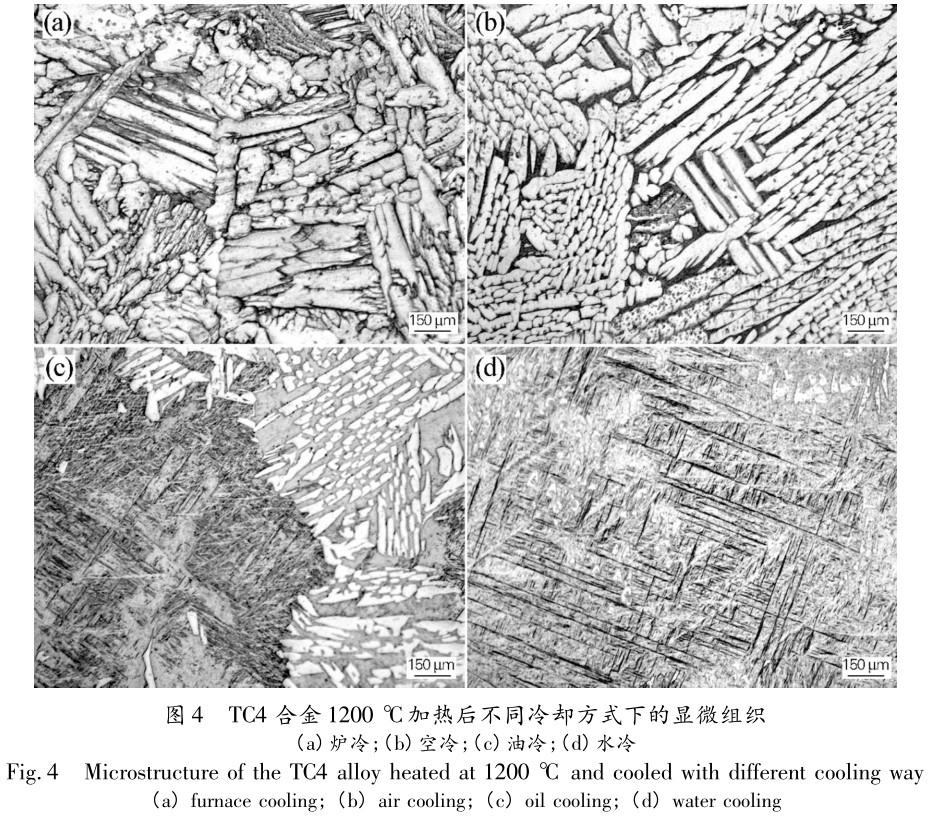 熱處理工藝對TC4鈦合金厚板組織及硬度的影響 熱處理工藝對TC4鈦合金厚板組織及硬度的影響