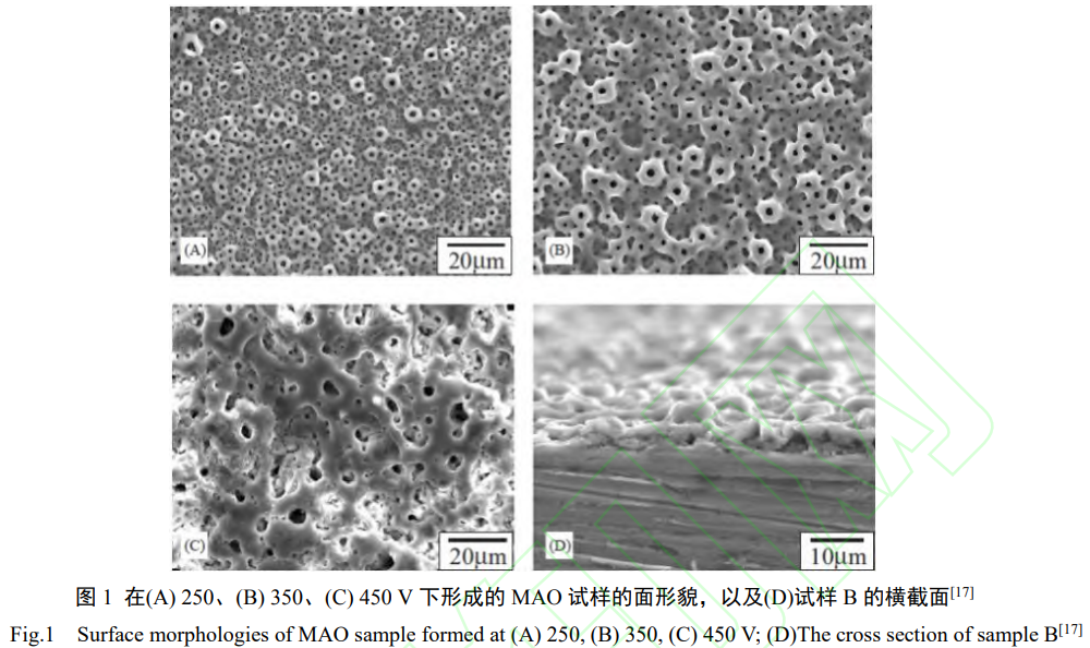 微弧氧化制備醫(yī)用鈦合金生物復(fù)合涂層研究進(jìn)展 微弧氧化制備醫(yī)用鈦合金生物復(fù)合涂層研究進(jìn)展