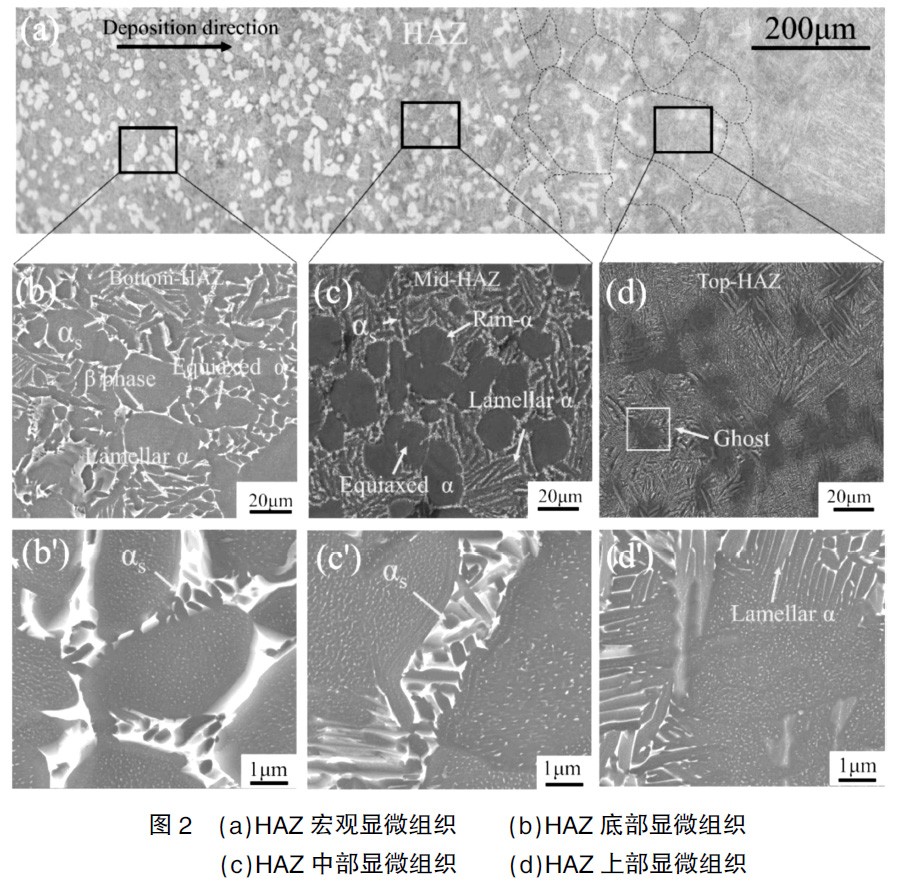 1698965396748393.jpg 1681287274667667.jpg