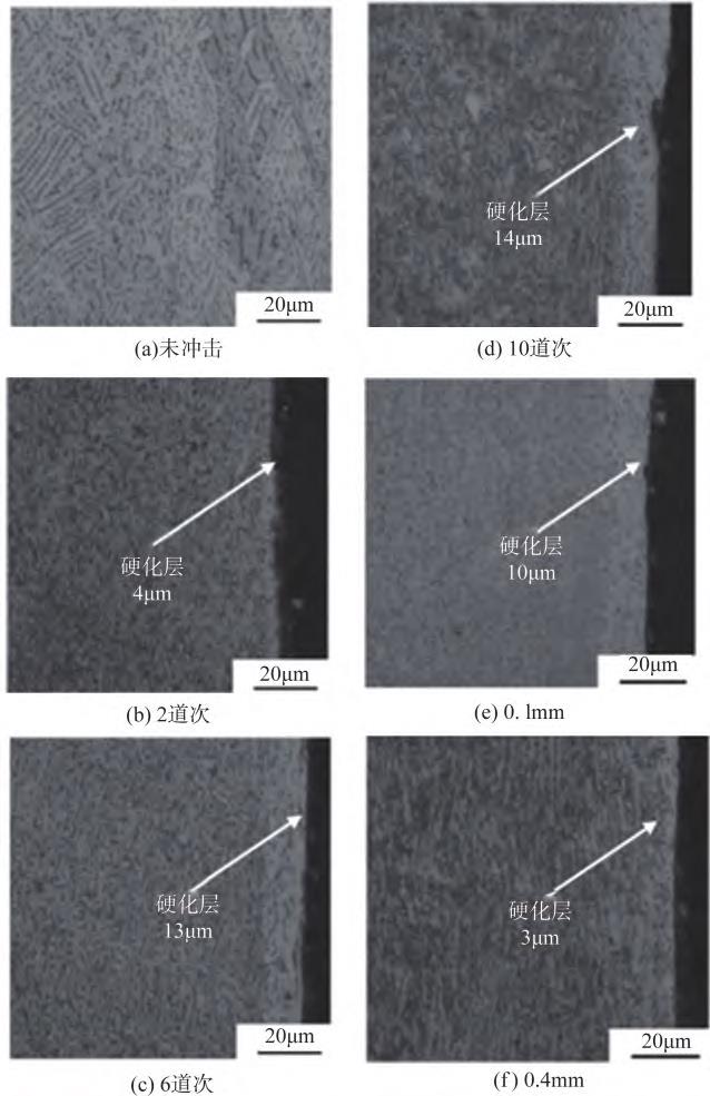 1712923837150294.jpg 5.jpg