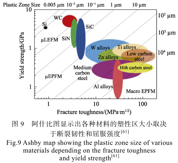 1714061017139593.jpg t9.jpg
