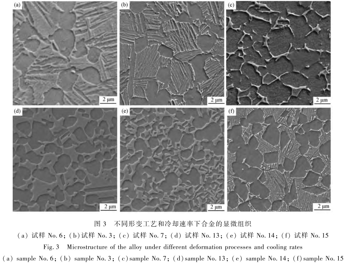 1714132401165313.jpg 未標題-4.jpg