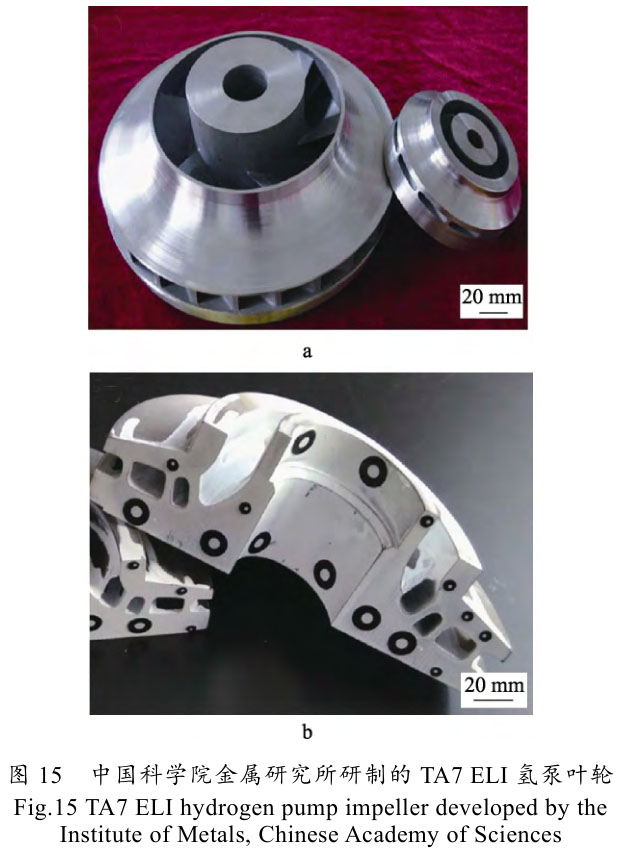 1720251577204337.jpg t15.jpg