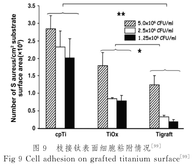 1720340226659138.jpg t9.jpg