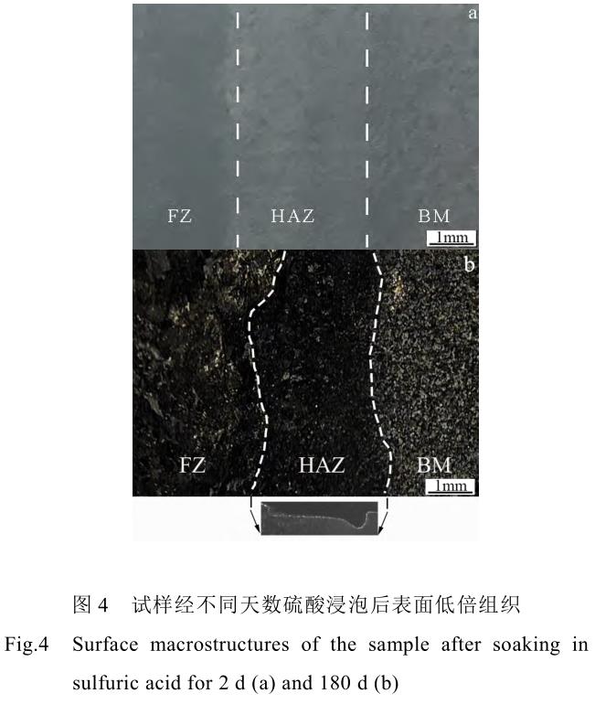 1729070637573904.jpg 4.jpg