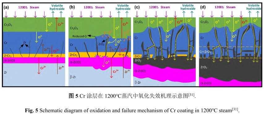 1729135207456397.jpg 5.jpg