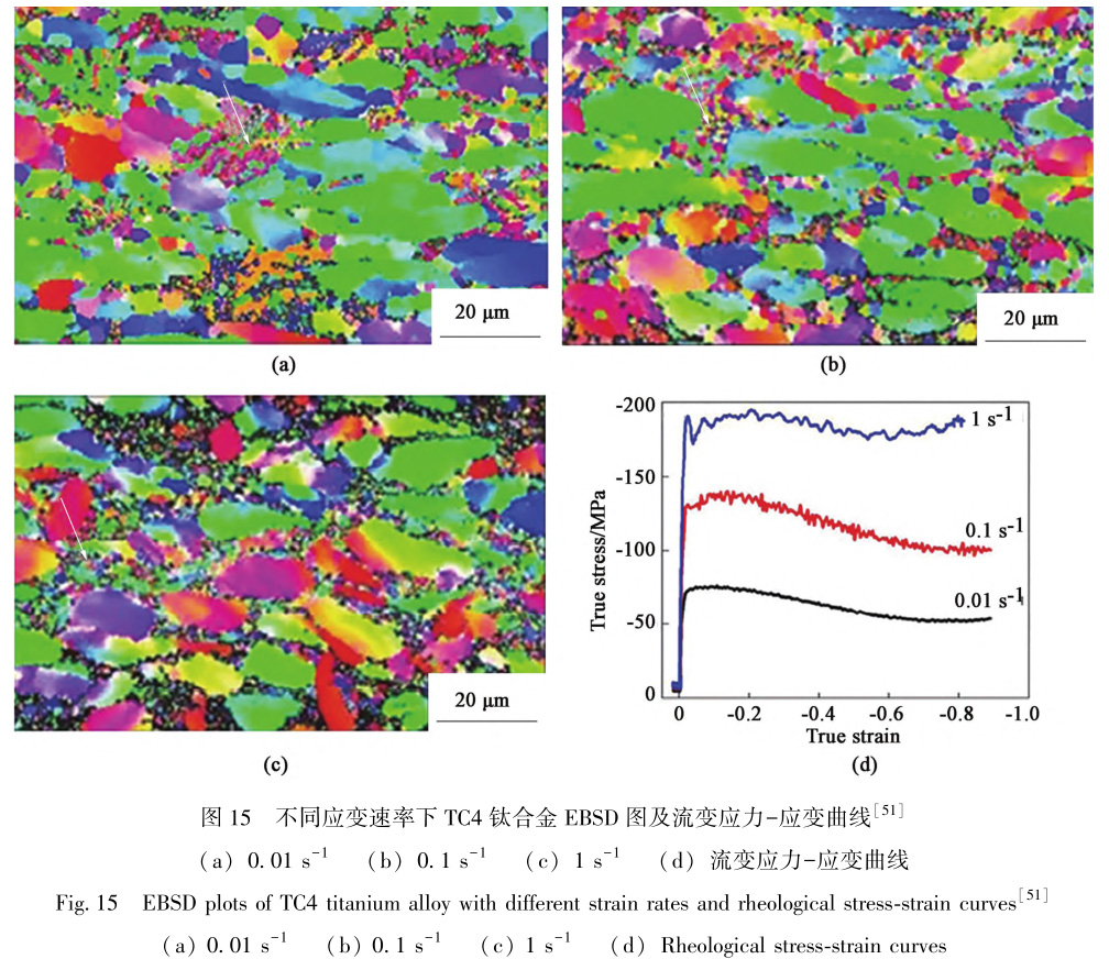 1729324440938446.jpg t15.jpg