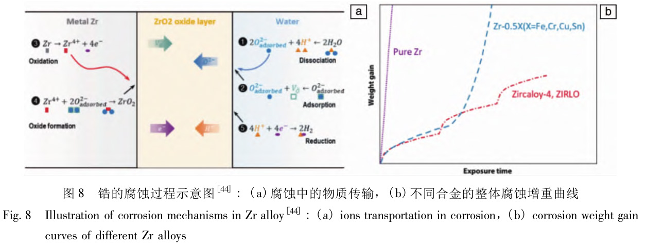 1729418758510818.jpg 8.jpg