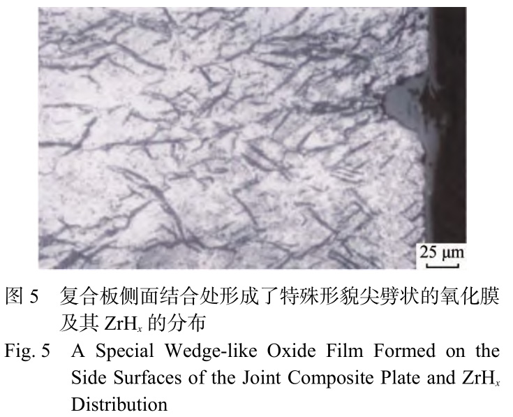 1729481798977125.jpg 5.jpg