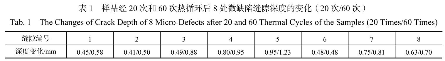 1729481825503523.jpg b1.jpg