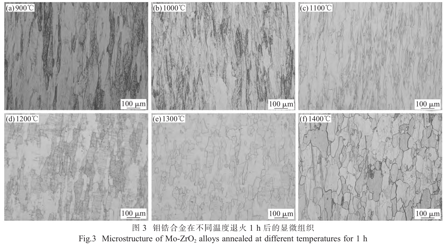 1729568194765269.jpg 3.jpg