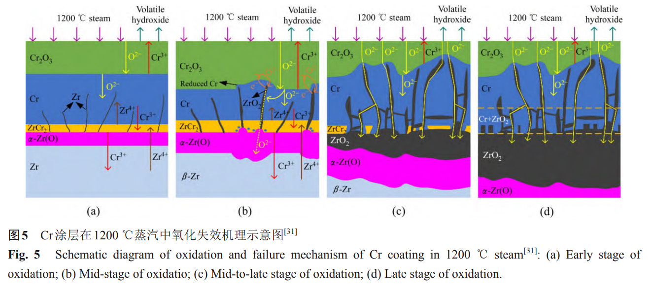 1734081800654236.jpg 5.jpg