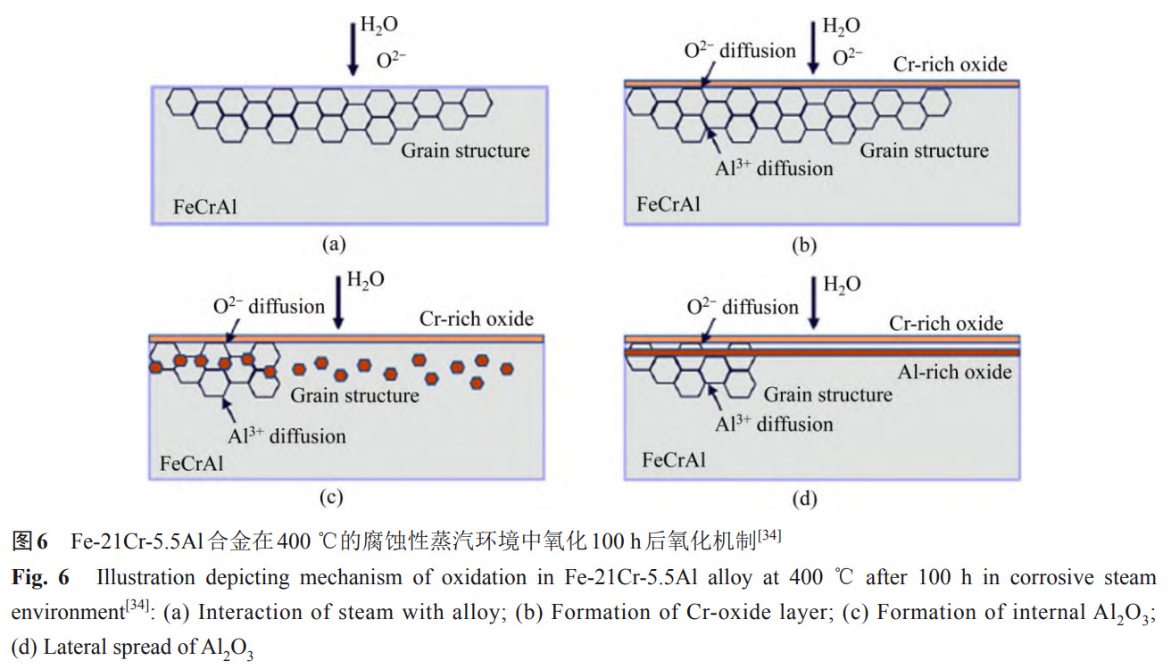 1734081812266942.jpg 6.jpg