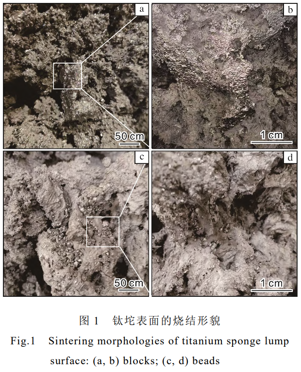 1732434575839741.png 1.png