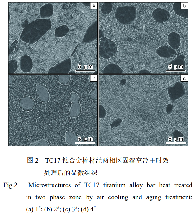 1735386789136521.png 截圖20241228194758.png