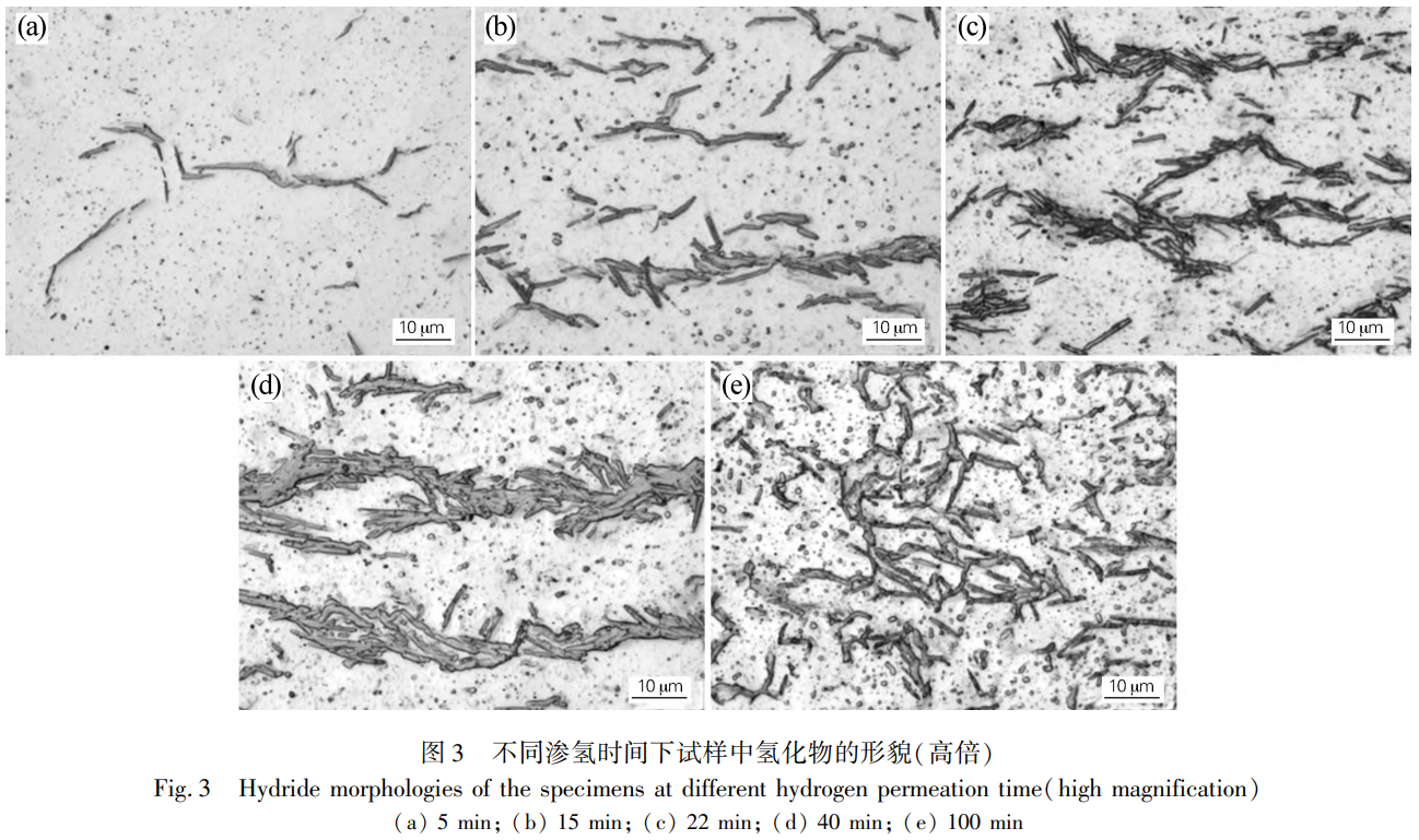 1736775474463483.png 截圖20250113213552.png