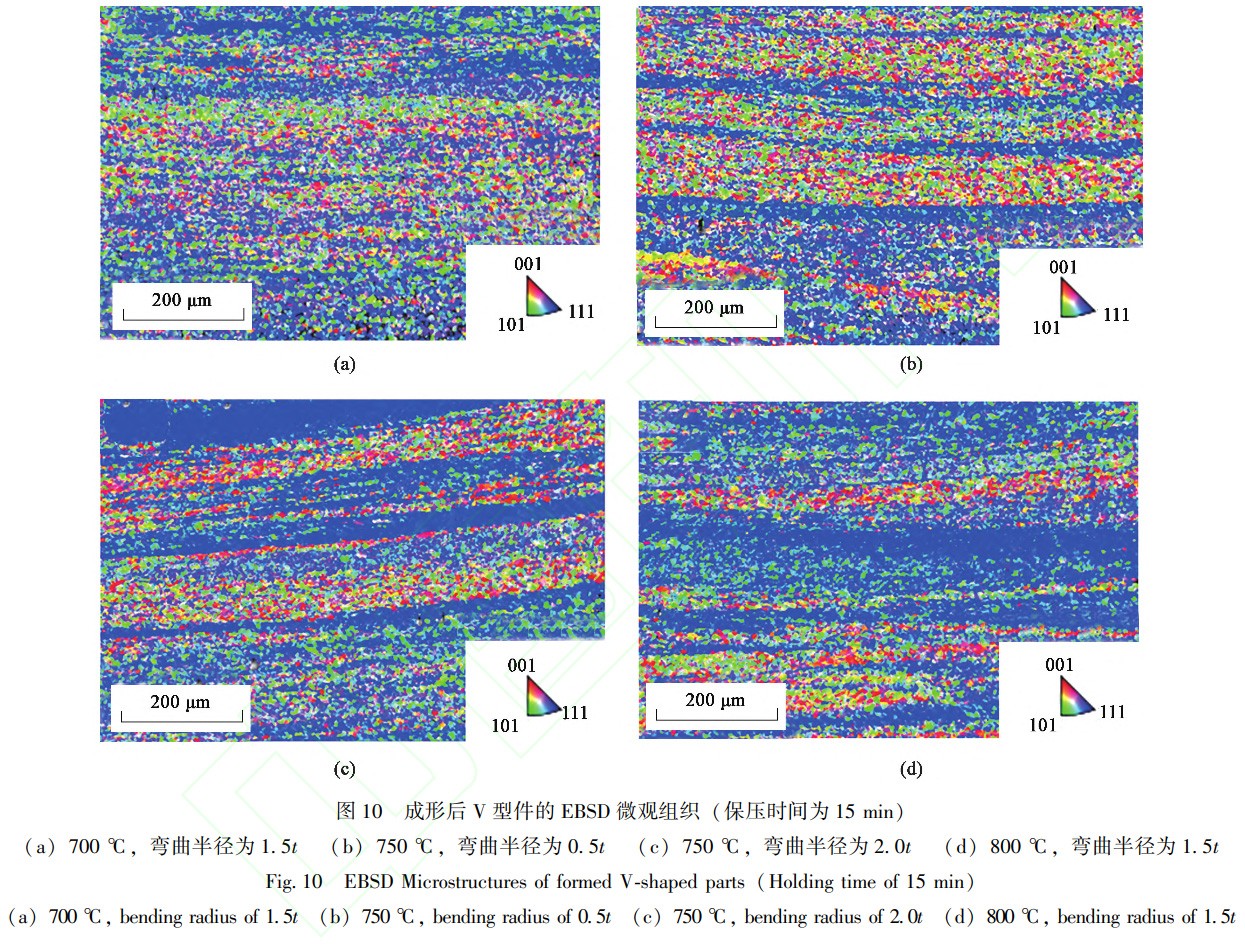 1738670885689799.jpg t10.jpg